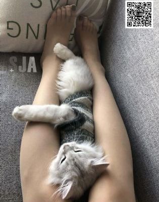 免费av观看网址_720超清在线观看